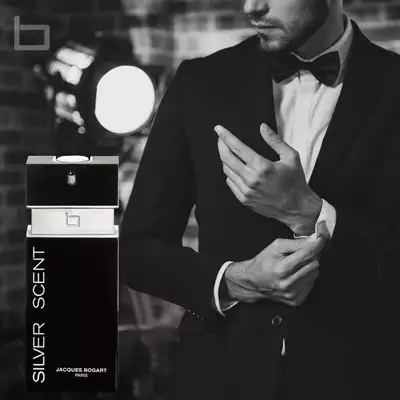  صورة 1 ️برفان سلفر سنت SILVER SCENT ️